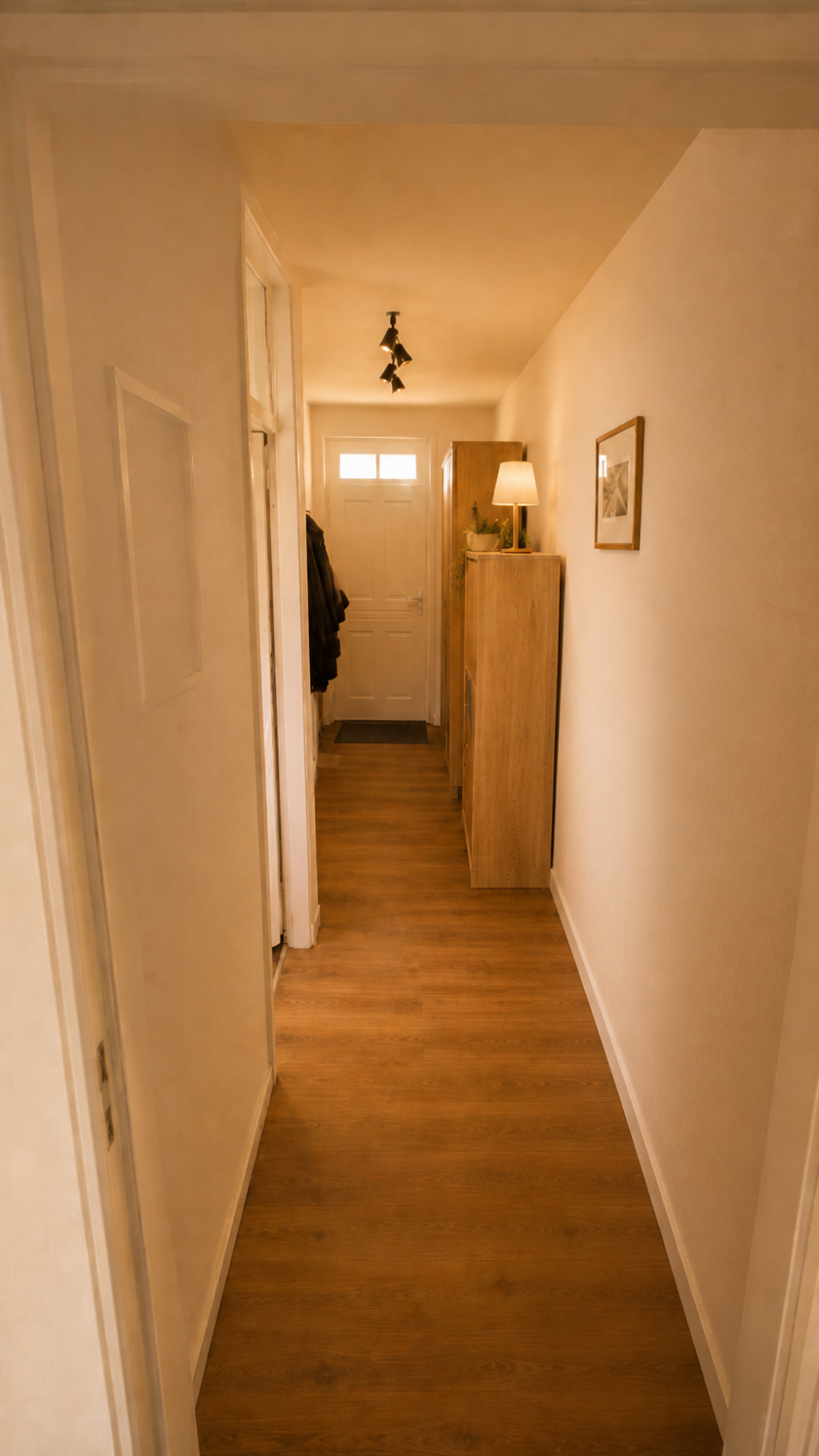 Eingangbereich Etagenwohnung Dresden