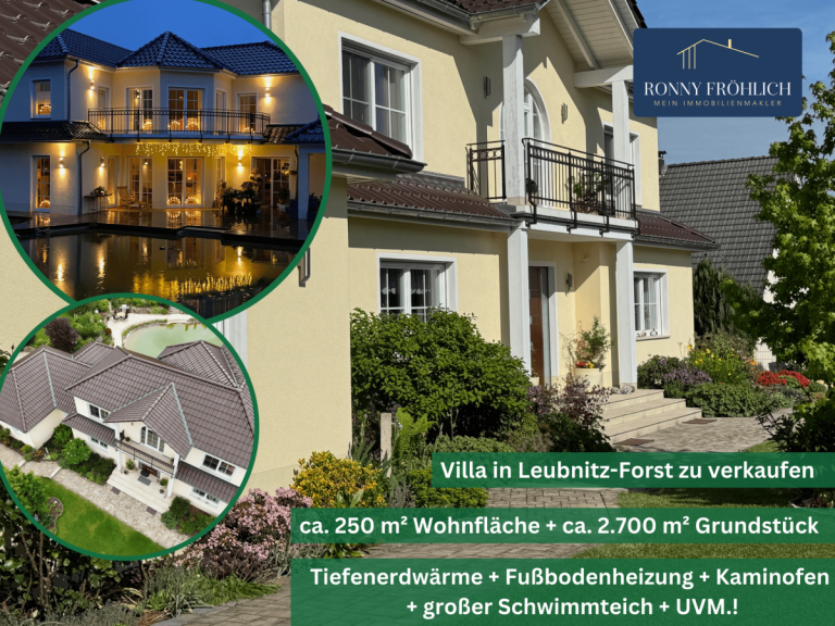 Villa-Leubnitz-Forst Werdau Einfamilienhaus WOW-Faktor Villa kaufen Leubnitz-Forst Werdau, 8 Zimmer, Erdw�rme, Garage, Schwimmteich, Luxus, 2016