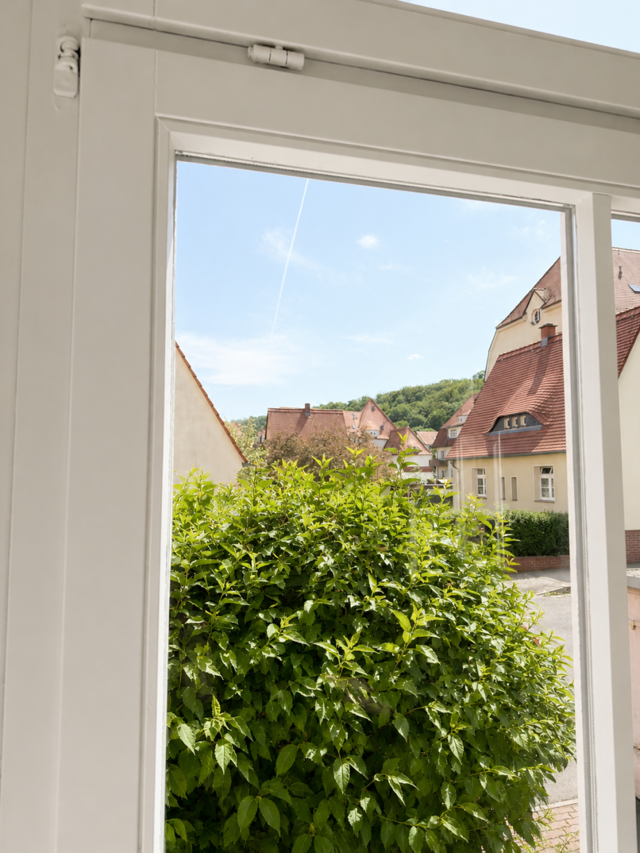 KI-K�chenfenster Erdgeschosswohnung Heidenau
