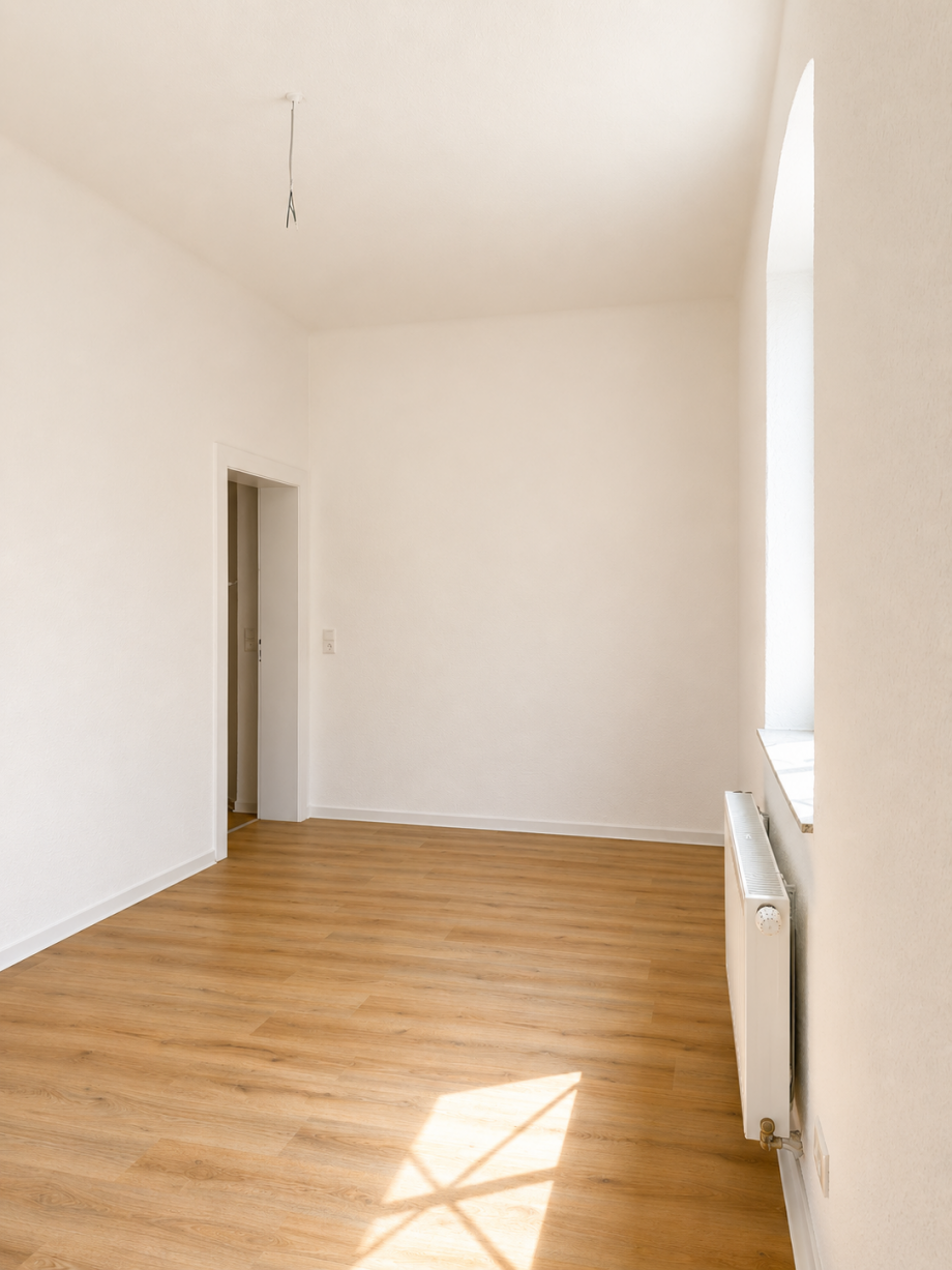 Wohnzimmer-Flur Etagenwohnung Heidenau