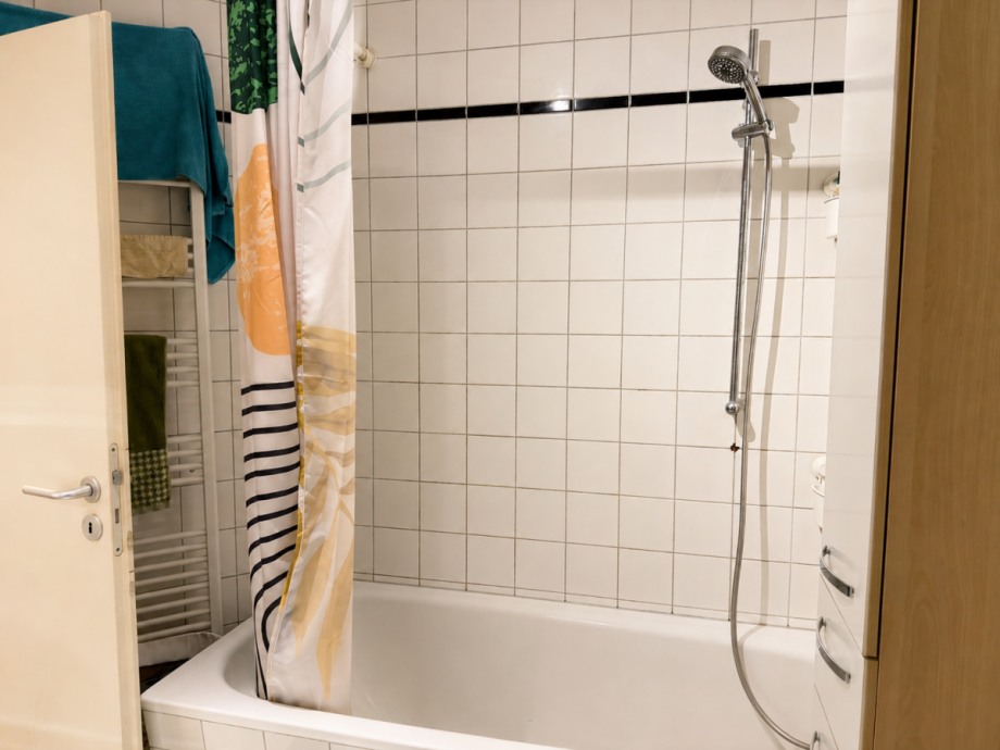 Badezimmer 2.3 Etagenwohnung Dresden
