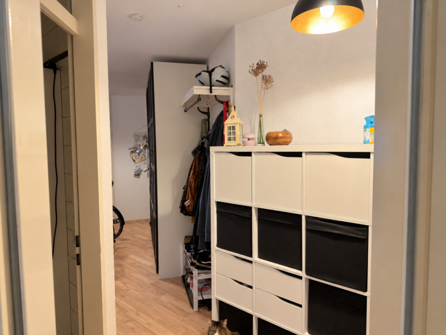 Flur 1.2 Etagenwohnung Dresden