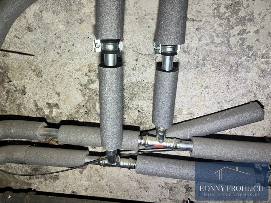 IMG_7190 Haus Zwickau