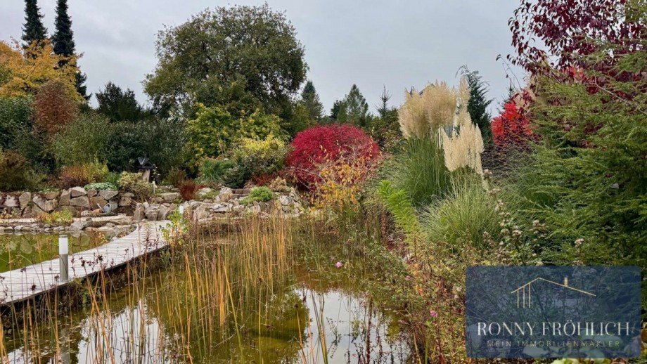Naturfilter Schwimmteich Einfamilienhaus Werdau