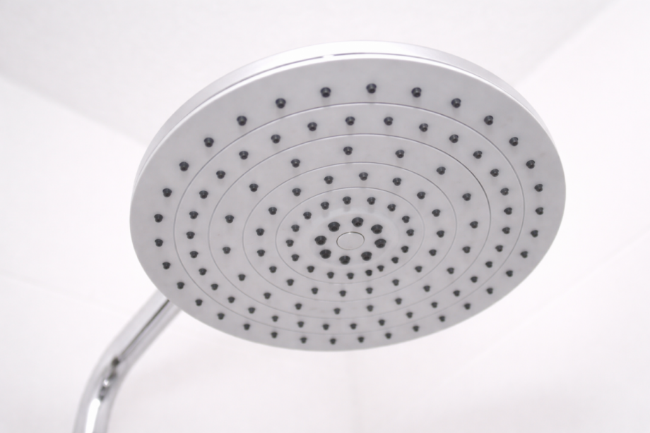 Moderne Regendusche im Badezimmer Erdgeschosswohnung Heidenau
