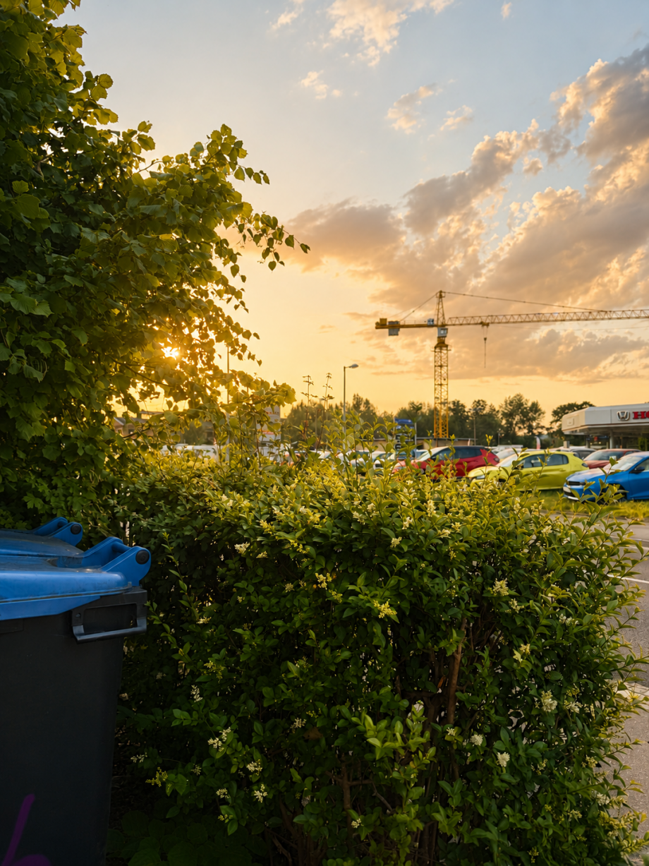 Sonnenuntergang Wohnung Heidenau